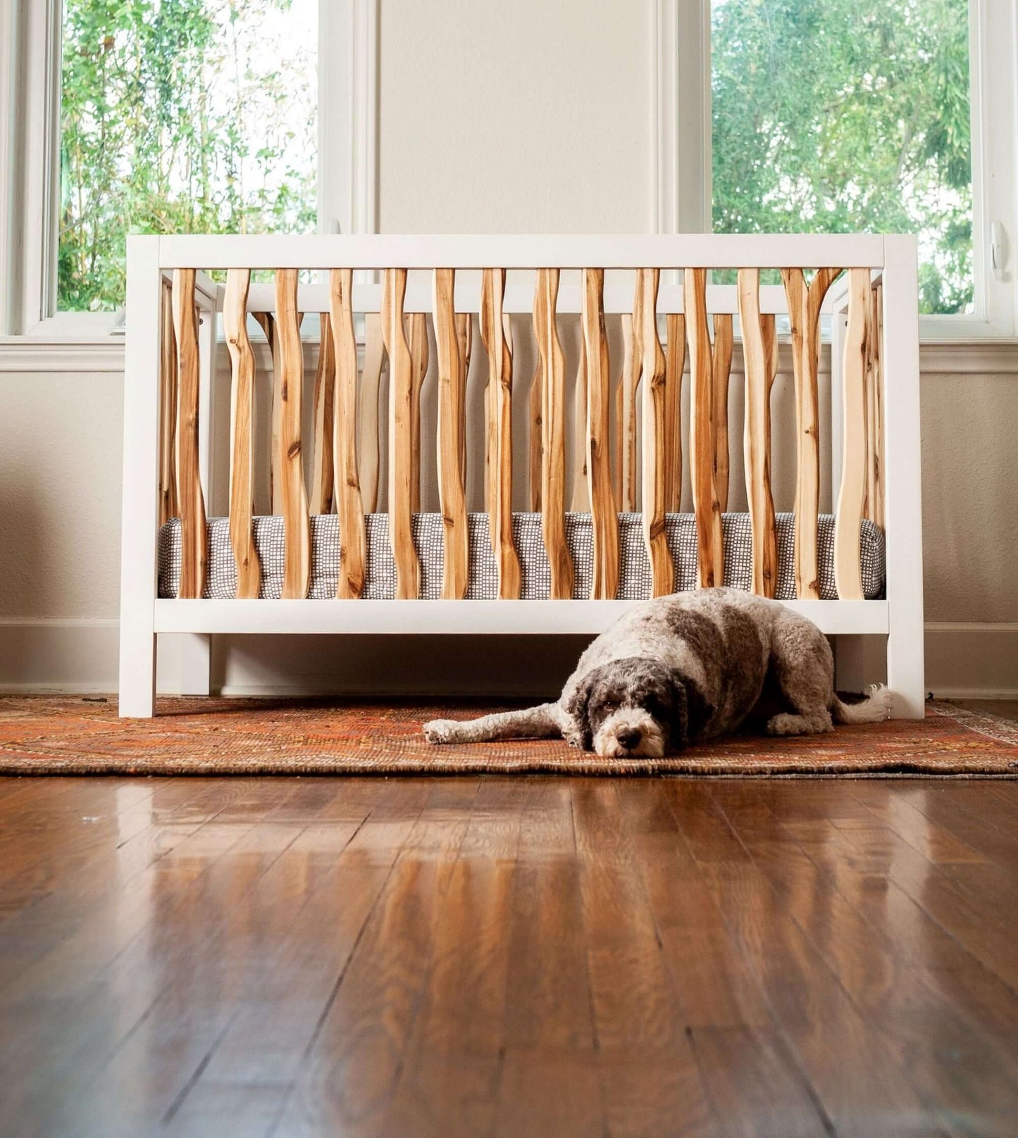 Branch 4 in 1 Convertible Crib - Lifestyle Image of 4 in 1 Convertible Crib Acacia with Dog Resting Beside