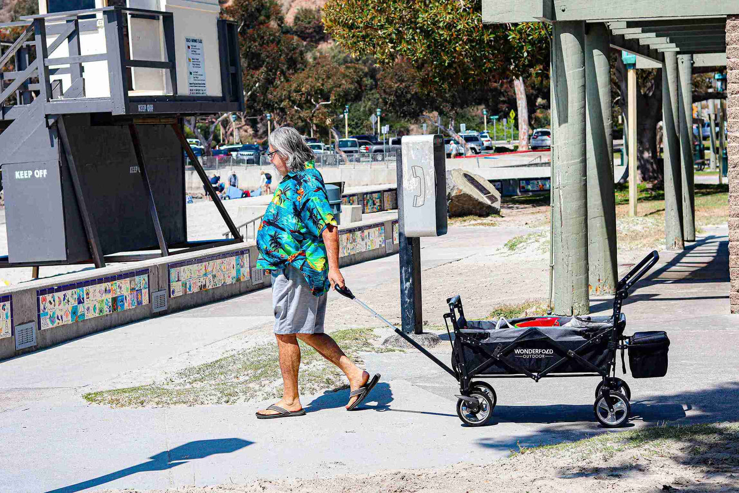 S4 Push and Pull Folding Wagon with Canopy